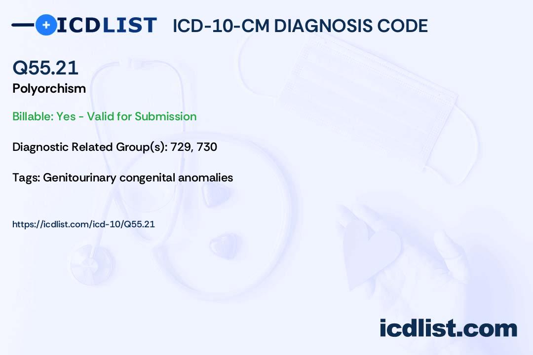 ICD-10-CM Diagnosis Code Q55.21 - Polyorchism