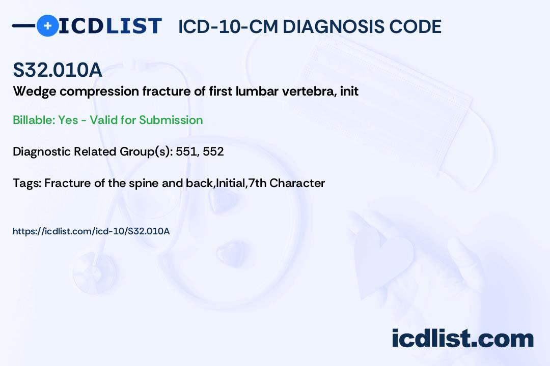海外輸入ICD-10(2013年版) 診療情報管理士 健康・医学